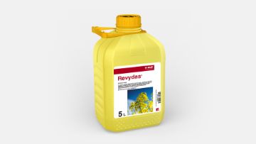 Revydas